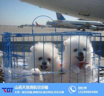 山西天地通航空運輸代理有限公司成功申請航空運輸代理資質報告