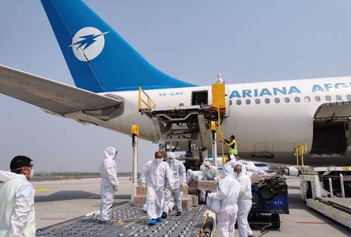 沈陽機場順利完成首架“客改貨”包機保障任務 開創航空運輸代理新模式