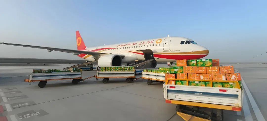 阿拉爾機場建設航空貨運代理業務即將開啟!